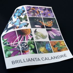Toner printed Brillianta Calandré